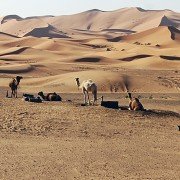 raid-dunas-velairadventures