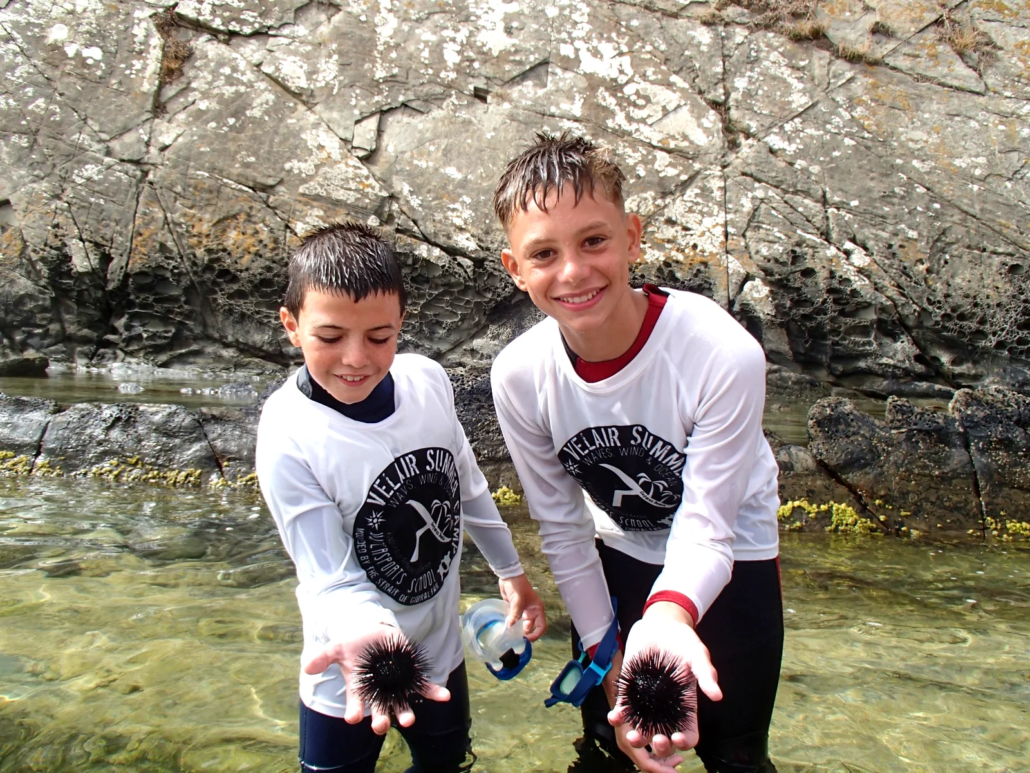 Niños explorando el mar en Getares Algeciras durante campamento Velair